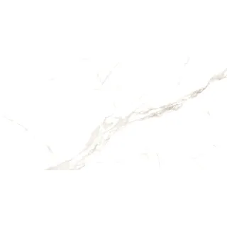 STATUARIO VENATO 60X120 (2.16) MATT