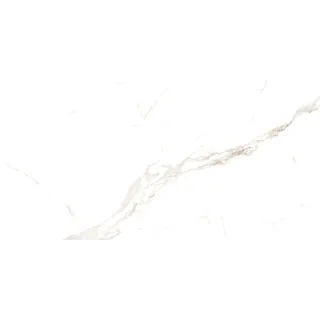 STATUARIO VENATO 60X120 (2.16) MATT