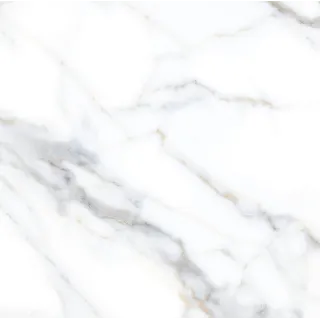 Prime Ceramics CARLOS STATUARIO 60X60 (1,44) CARVING...