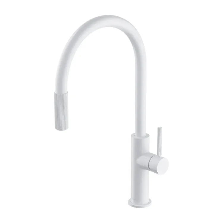 Omnires SWITCH bateria kuchenna z wyciąganą wylewką z zestawem filtrującym, biały mat SW9059-FD1WM