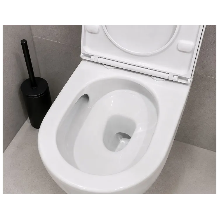 Laveo Nida CycleON miska WC wisząca 48 x 36 cm bezkołnierzowa z deską biała VMN_609S