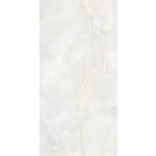 Egen Walrus Sky 60x120 cm płytka gresowa jasnoszary marmur onyks połysk (1,44)