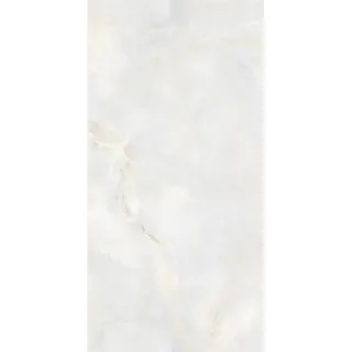 Egen Walrus Sky 60x120 cm płytka gresowa jasnoszary marmur onyks połysk (1,44)
