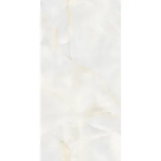 Egen Walrus Sky 60x120 cm płytka gresowa jasnoszary marmur onyks połysk (1,44)