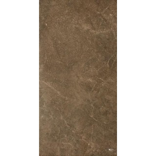 Paradyż IBIS BROWN GRES SZKL. MAT. 30X60 G1