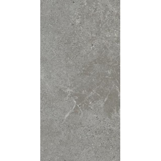 Paradyż AUTRIM GREY MAT 29,8X59,8 G1