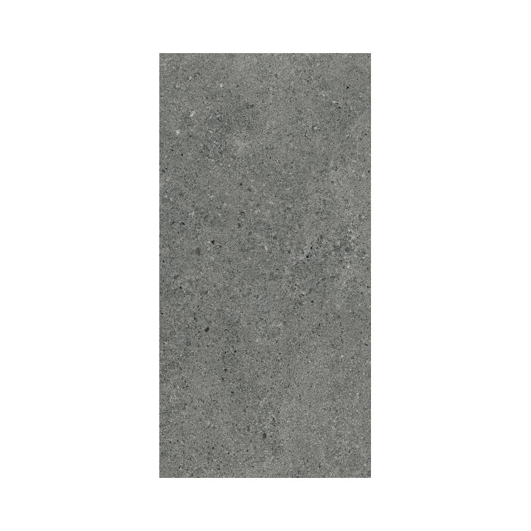 Paradyż AUTRIM GRAPHITE MAT 29,8X59,8 G1