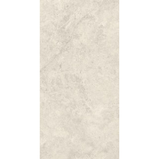 Paradyż DREAM GREY SCIANA POLYSK 30X60 G1