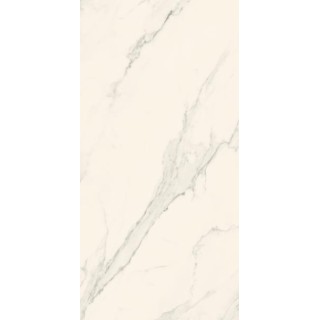 Paradyż BLISS SILVER SCIANA POLYSK 30X60 G1