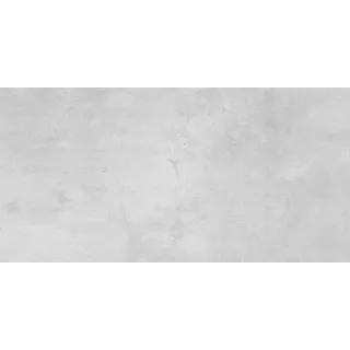 Ego Płytka ścienno-podłogowa Chicago Light Grey 30x60cm Poler (0.9)